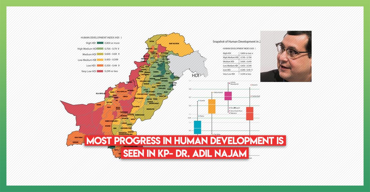 undp-report-by-adil-najam